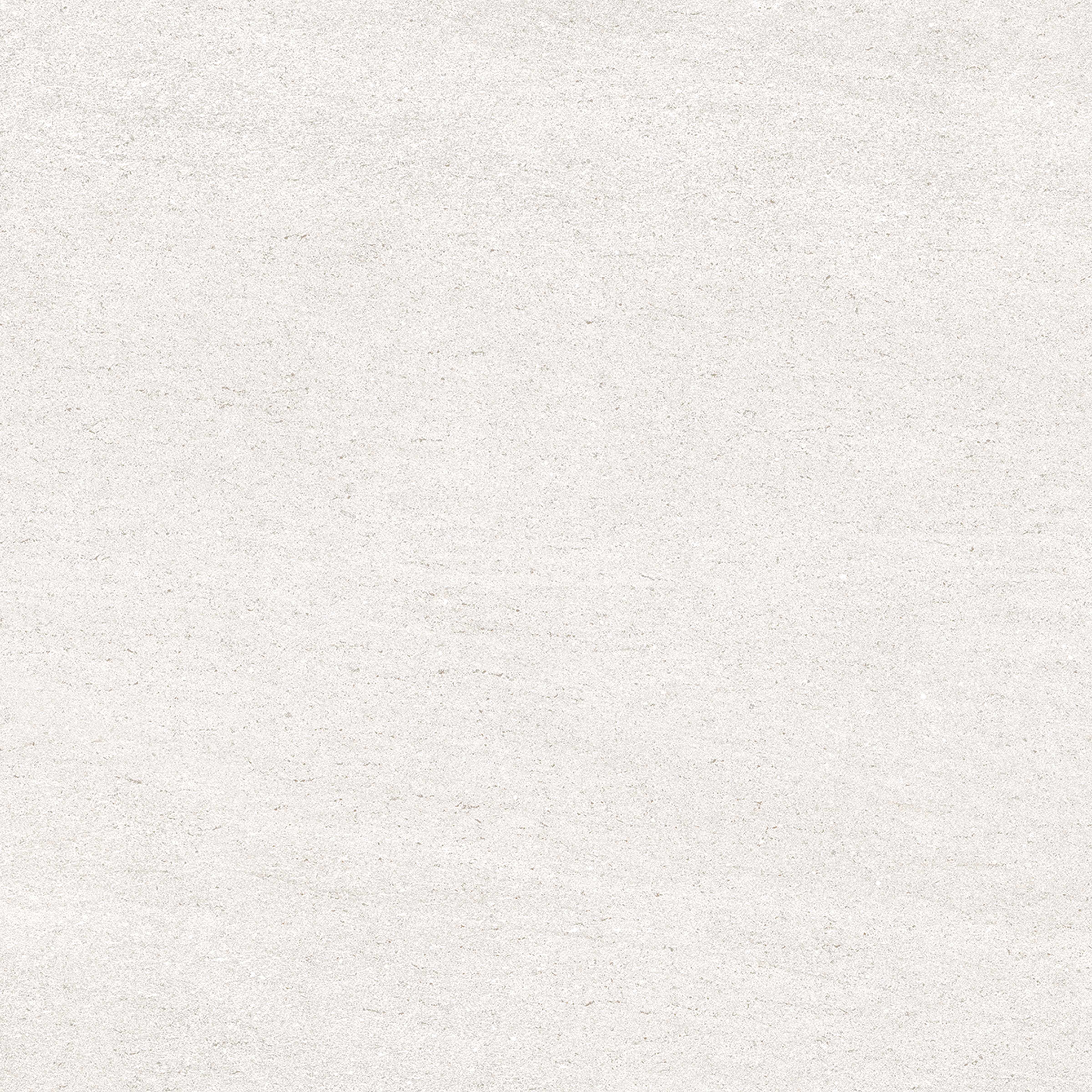 Magnifica Nineteen Forty-Eight 48