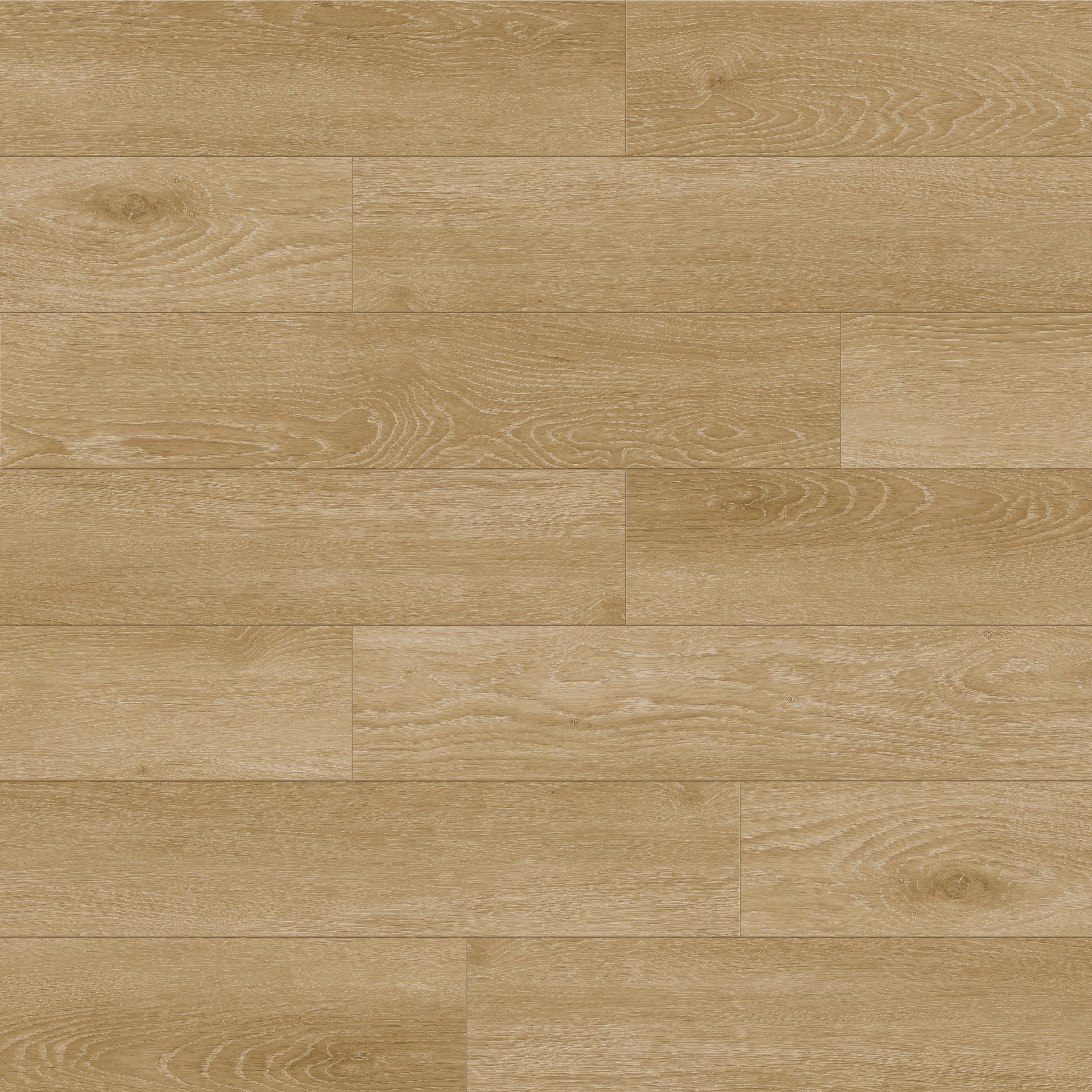 Woodland Cedar 9