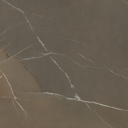 Pietra Piasentina Taupe 64" x 127" Porcelain 12mm Slab Natural