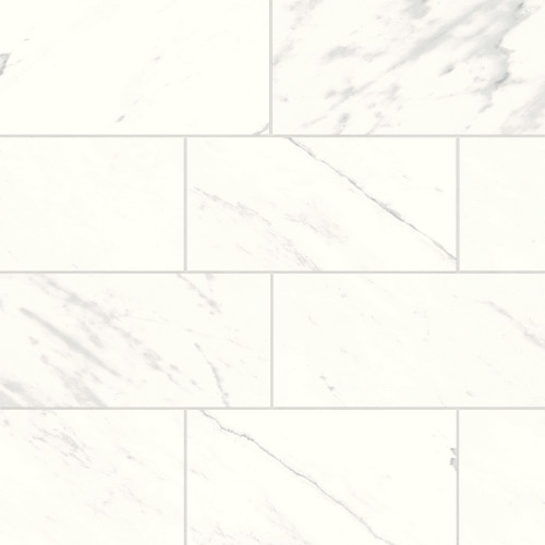 Magnifica Era 12" x 24" - 8mm Polished Porcelain Tile in Luxe White