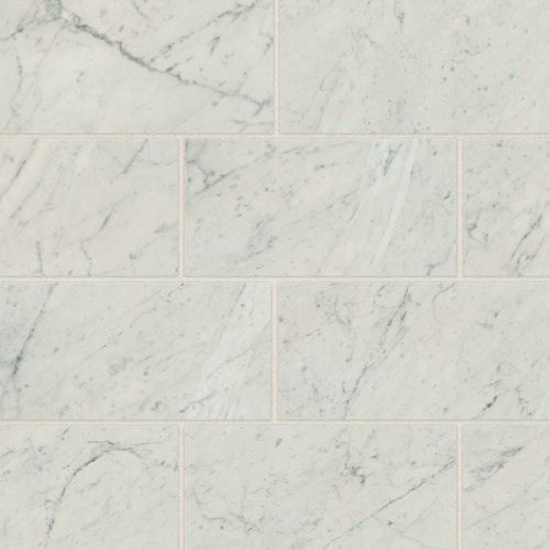 Classic 2.0 12" x 24" Floor & Wall Tile in Bianco Carrara