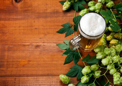 Beer hops on a tasting board