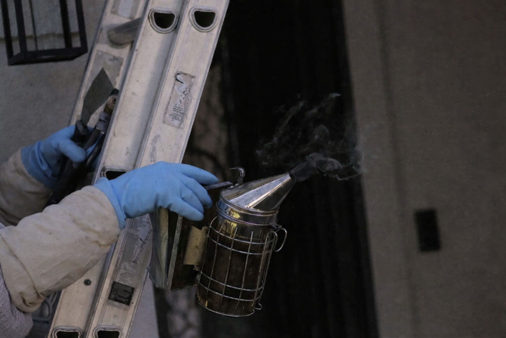 Bee Safe Services technician preparing humane live bee removal equipment