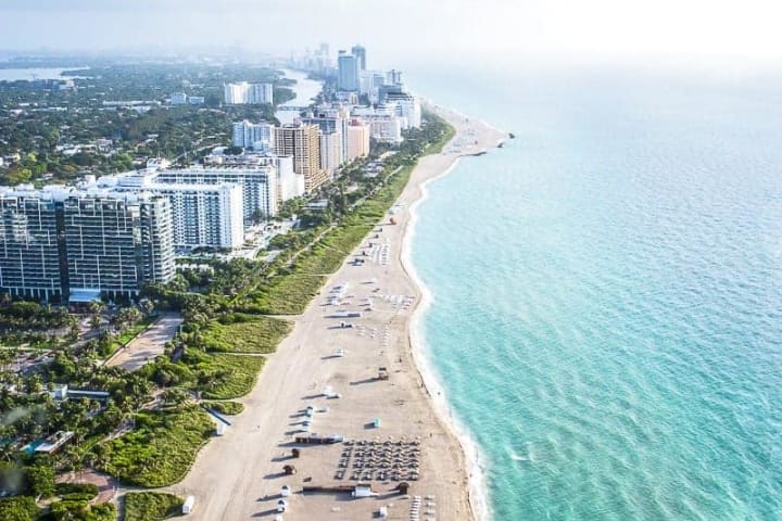 Bee Removal Miami Bee Removal Miami