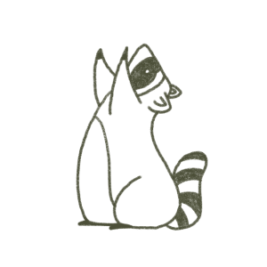 Raccoon removal service