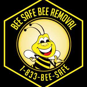 Bee Removal Cost Austin