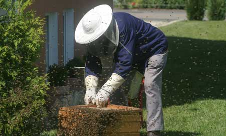 Beekeepers