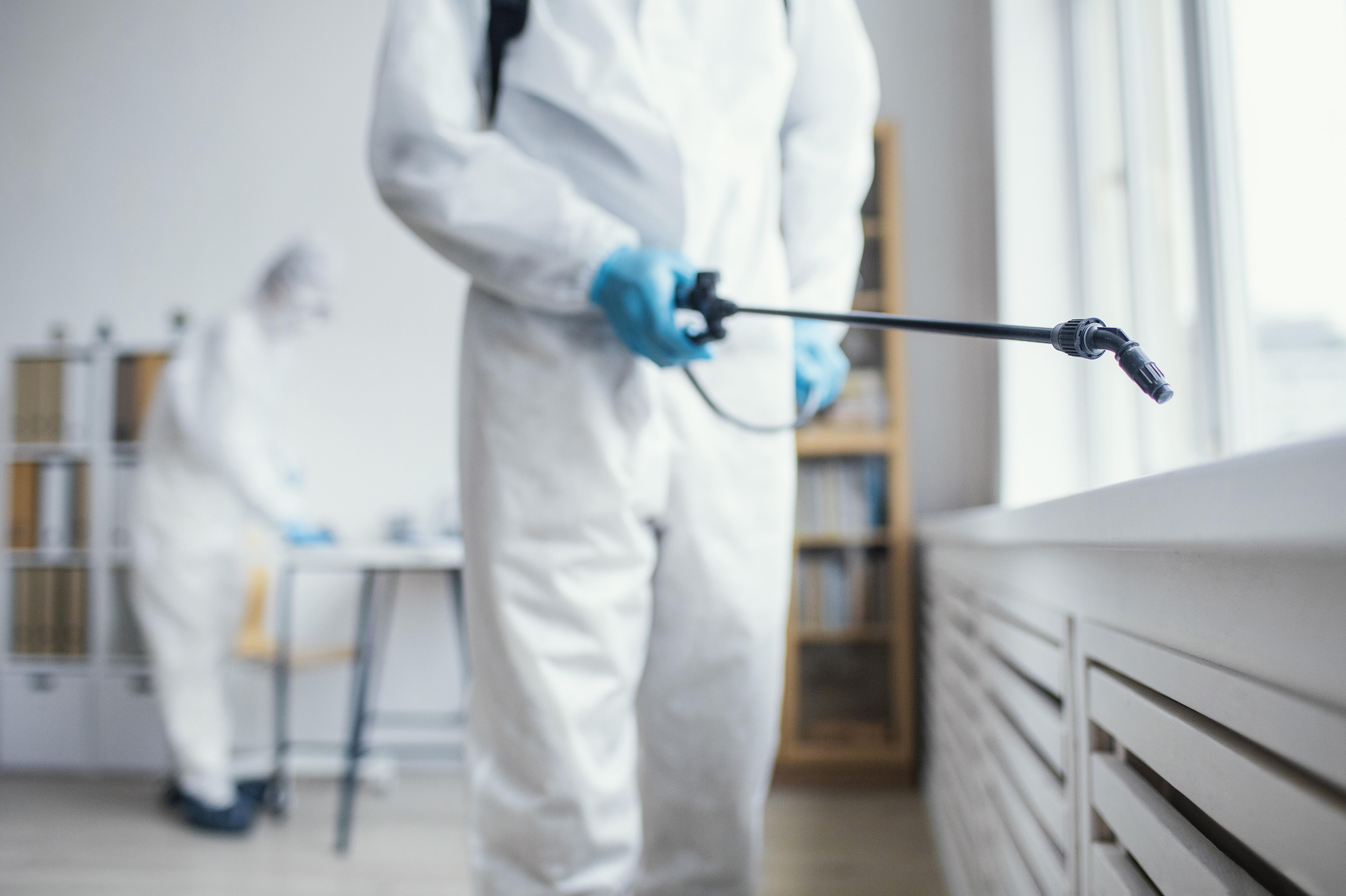 Pest Control & Termites