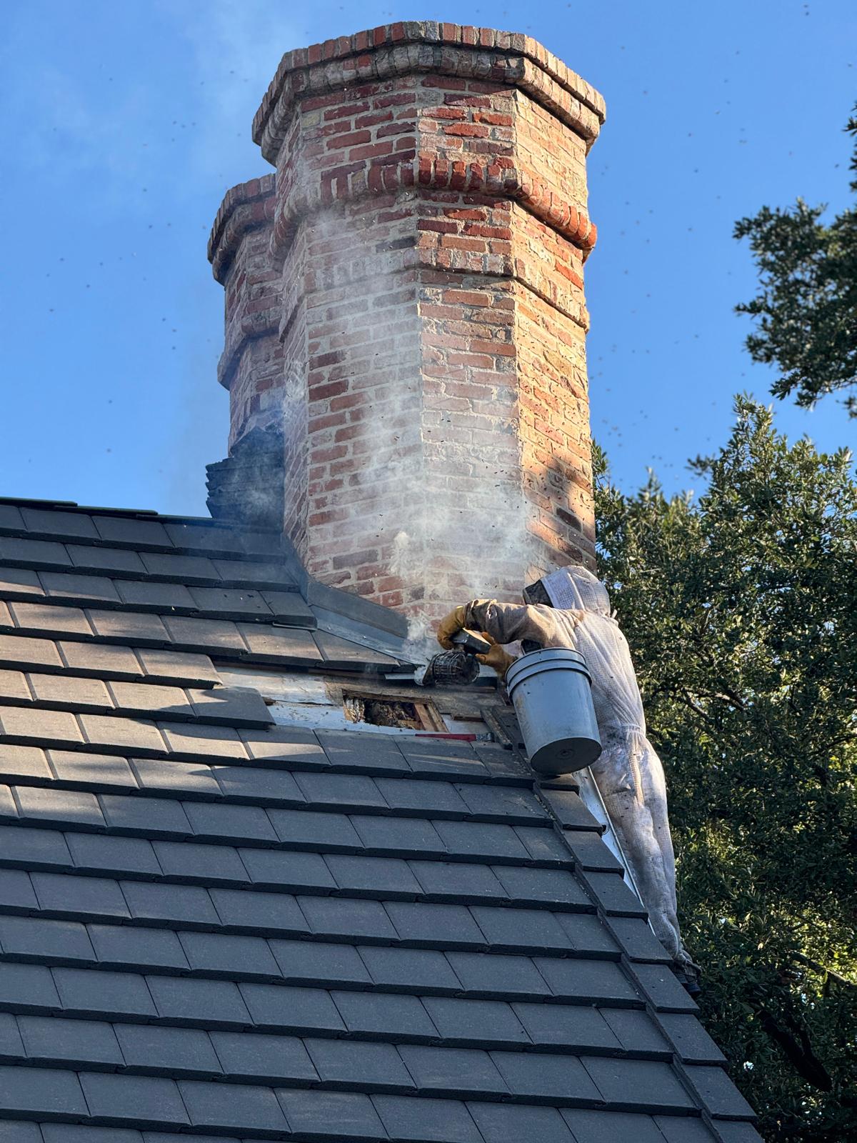 Beekeeper in protective suit removing bees from chimney.