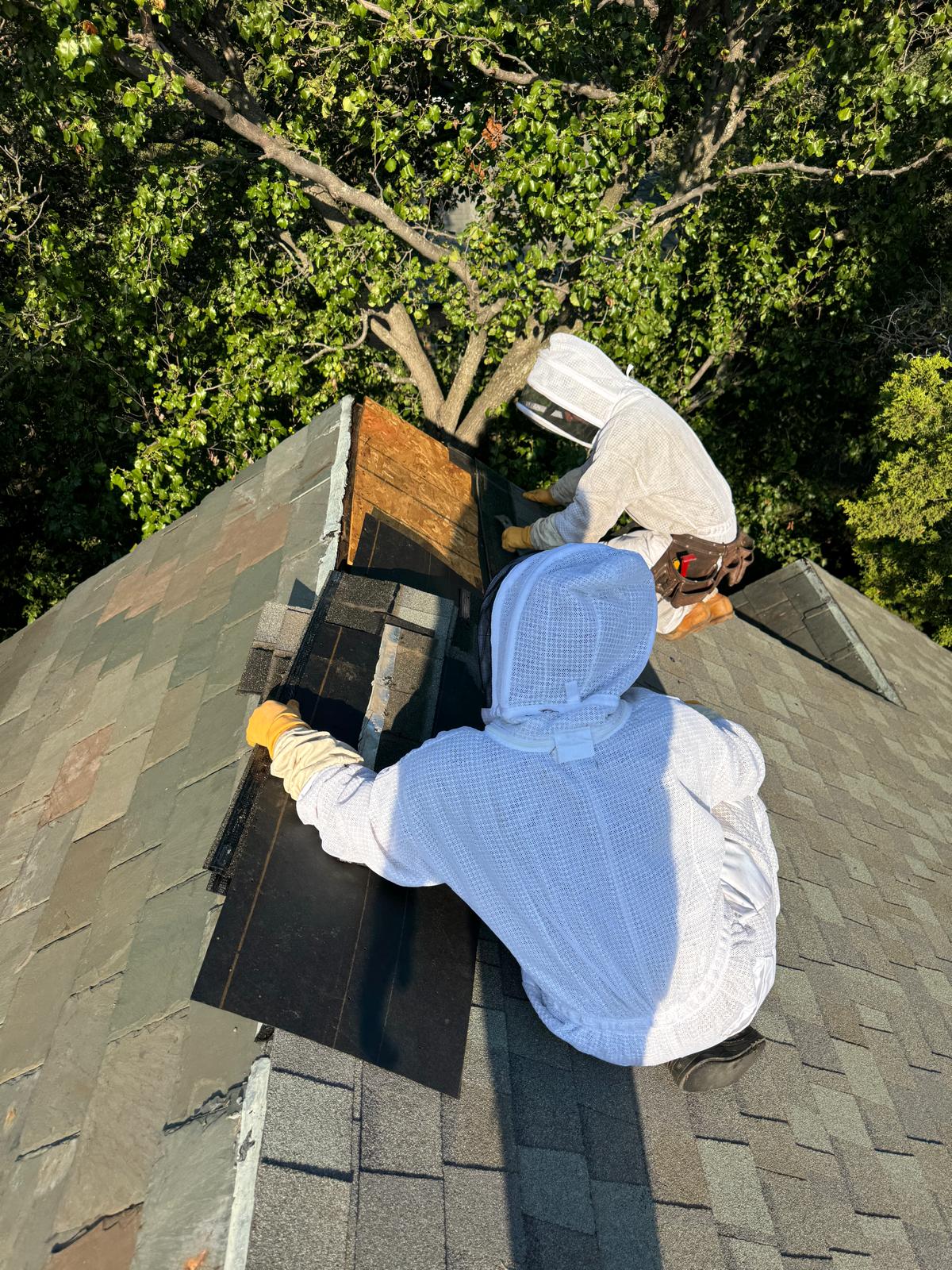 Two workers in protective suits on a roof.