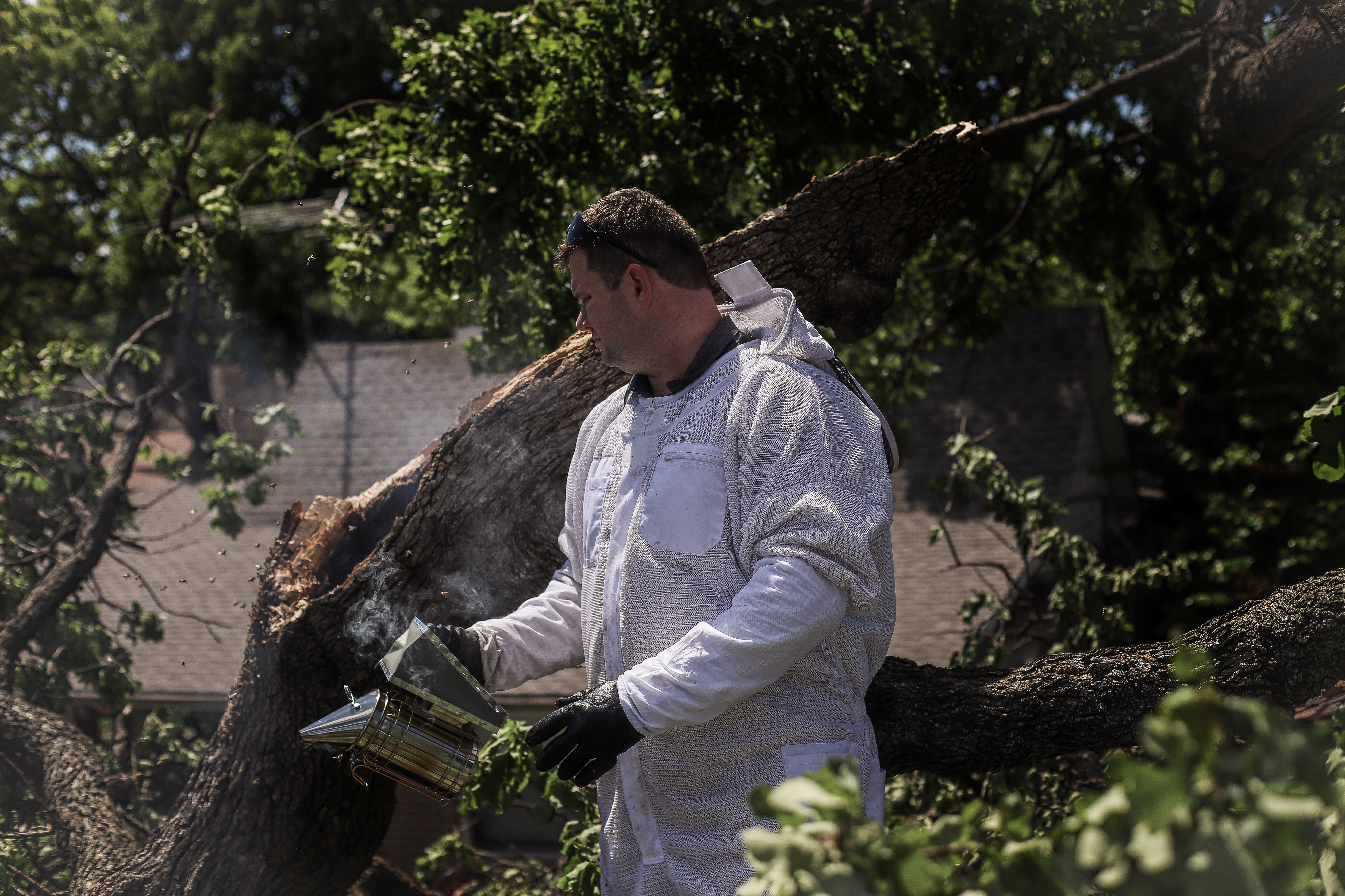 Caring Ecological Bee Removal