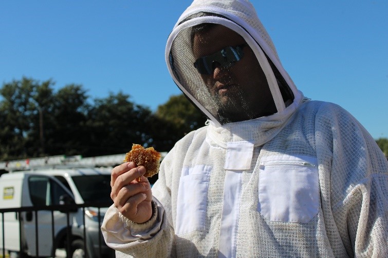 Urban Beekeeping