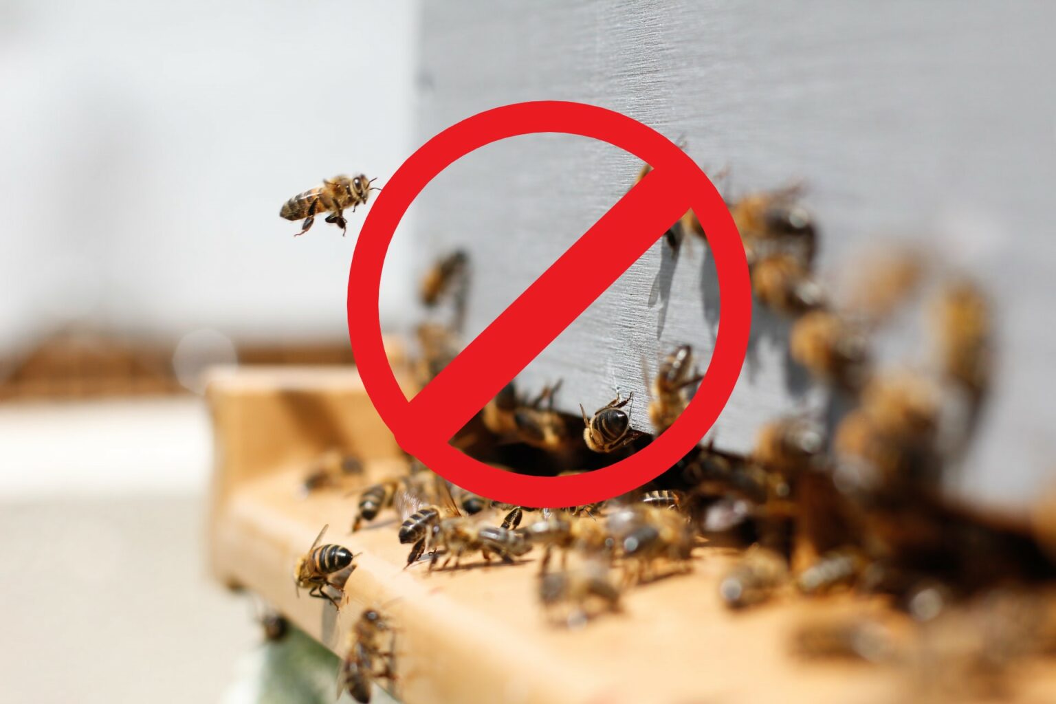 Bee Attack
