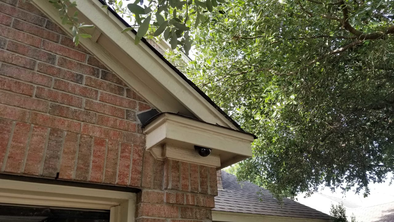 Bee Removal Near Me