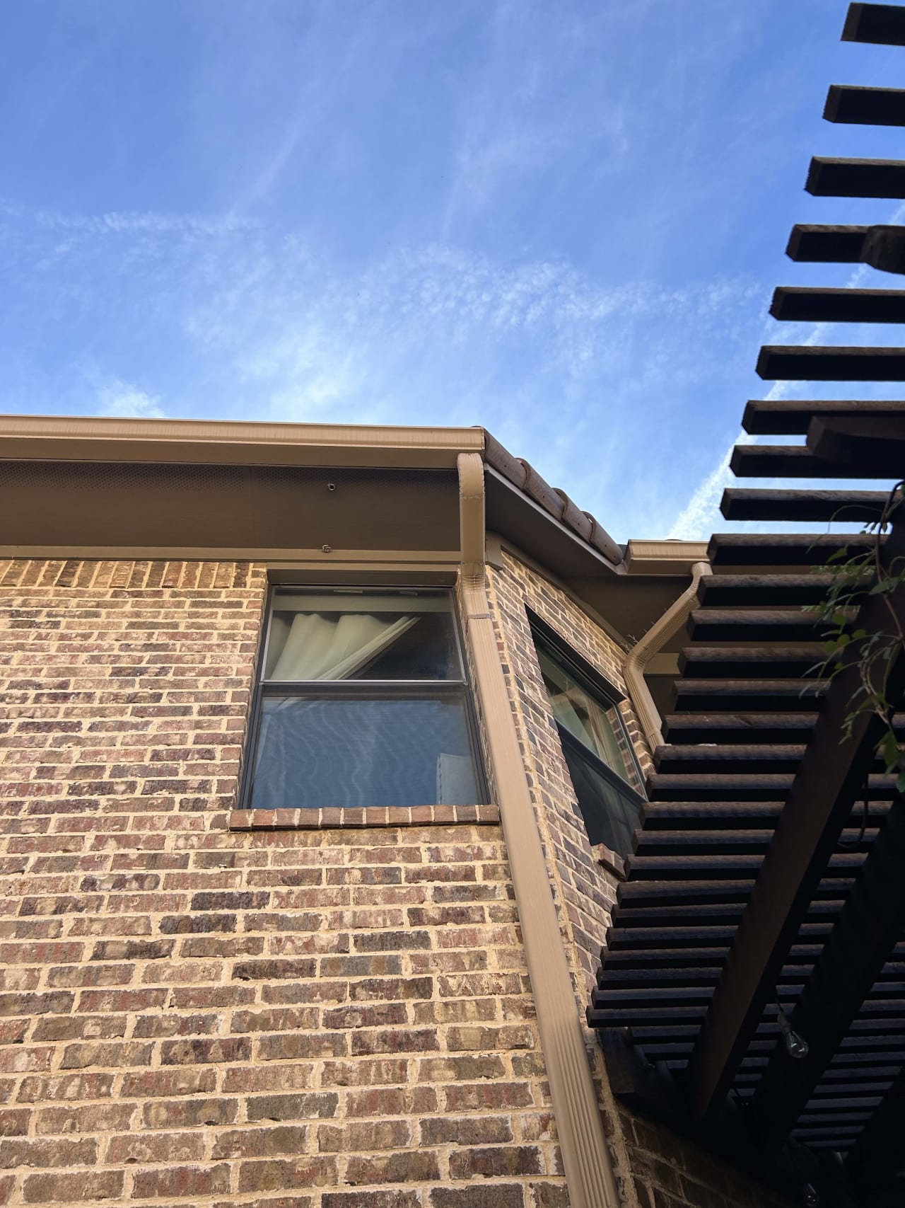 Bee Removal Near Me