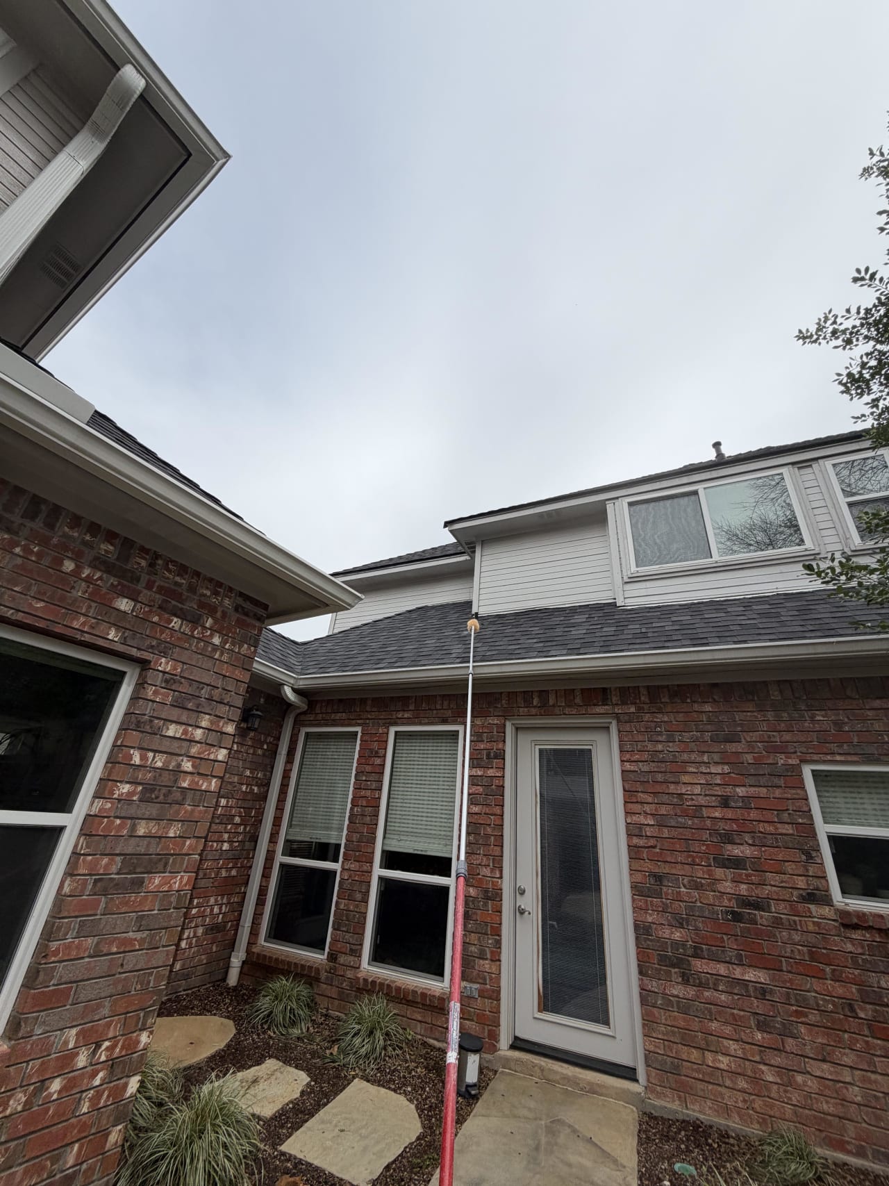 Bee Removal Near Me
