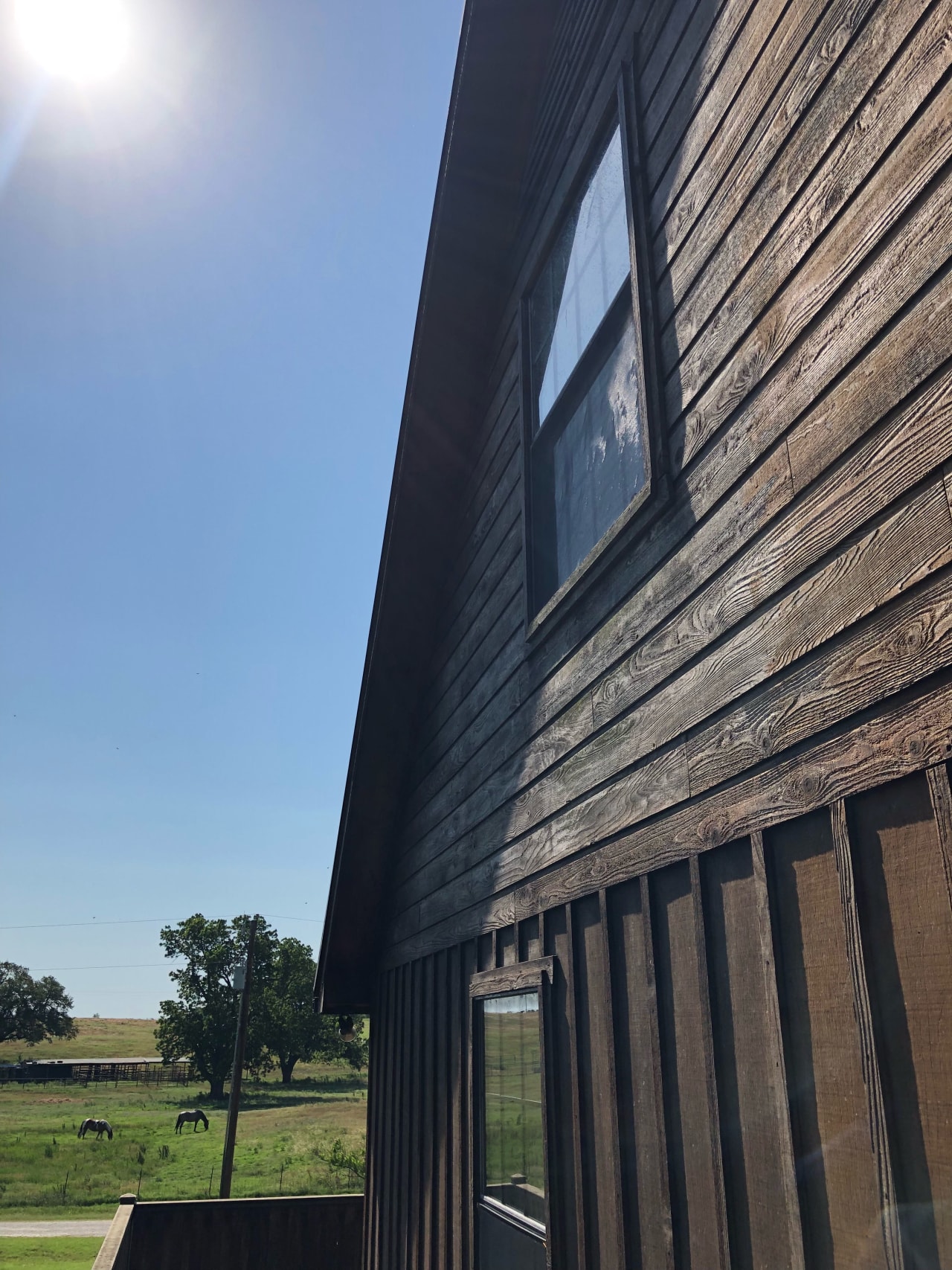 Bee Removal Near Me