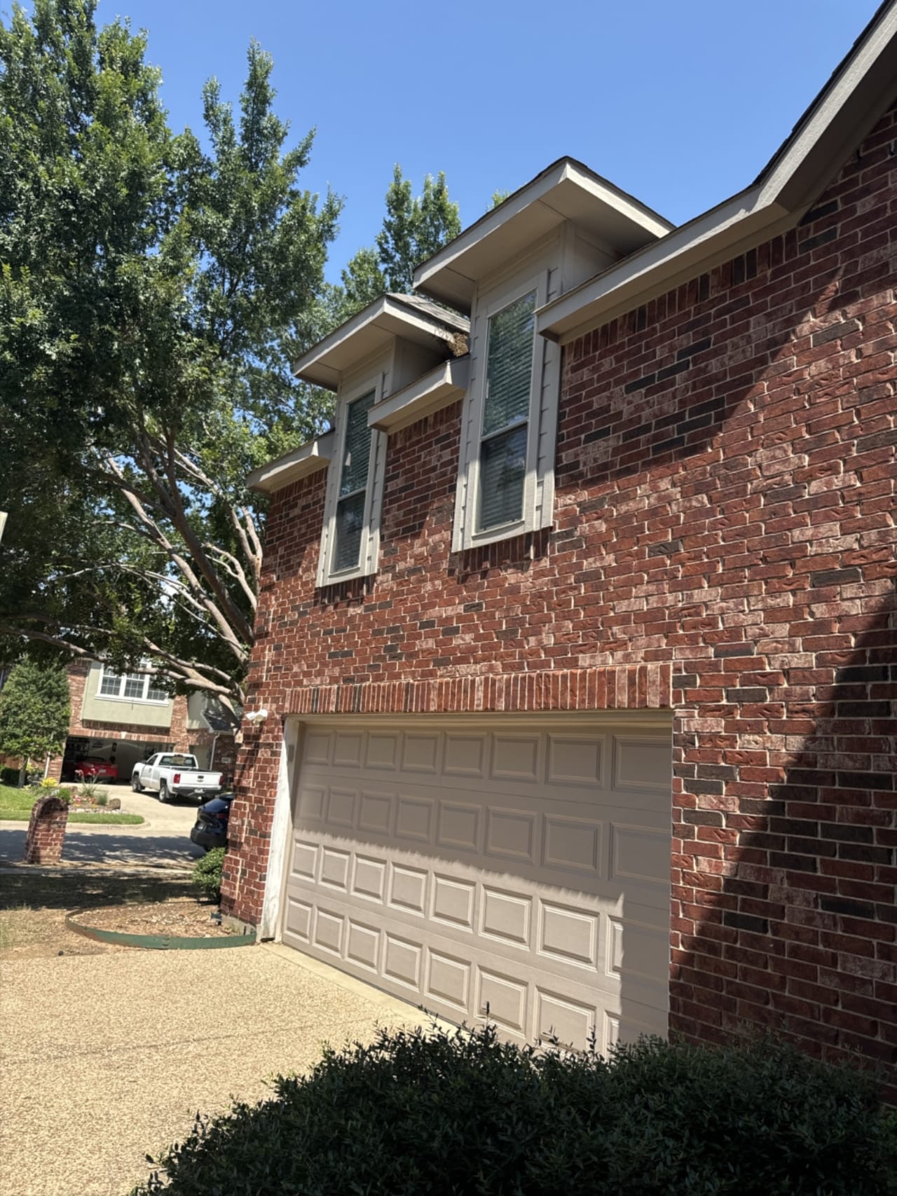 Bee Removal Near Me