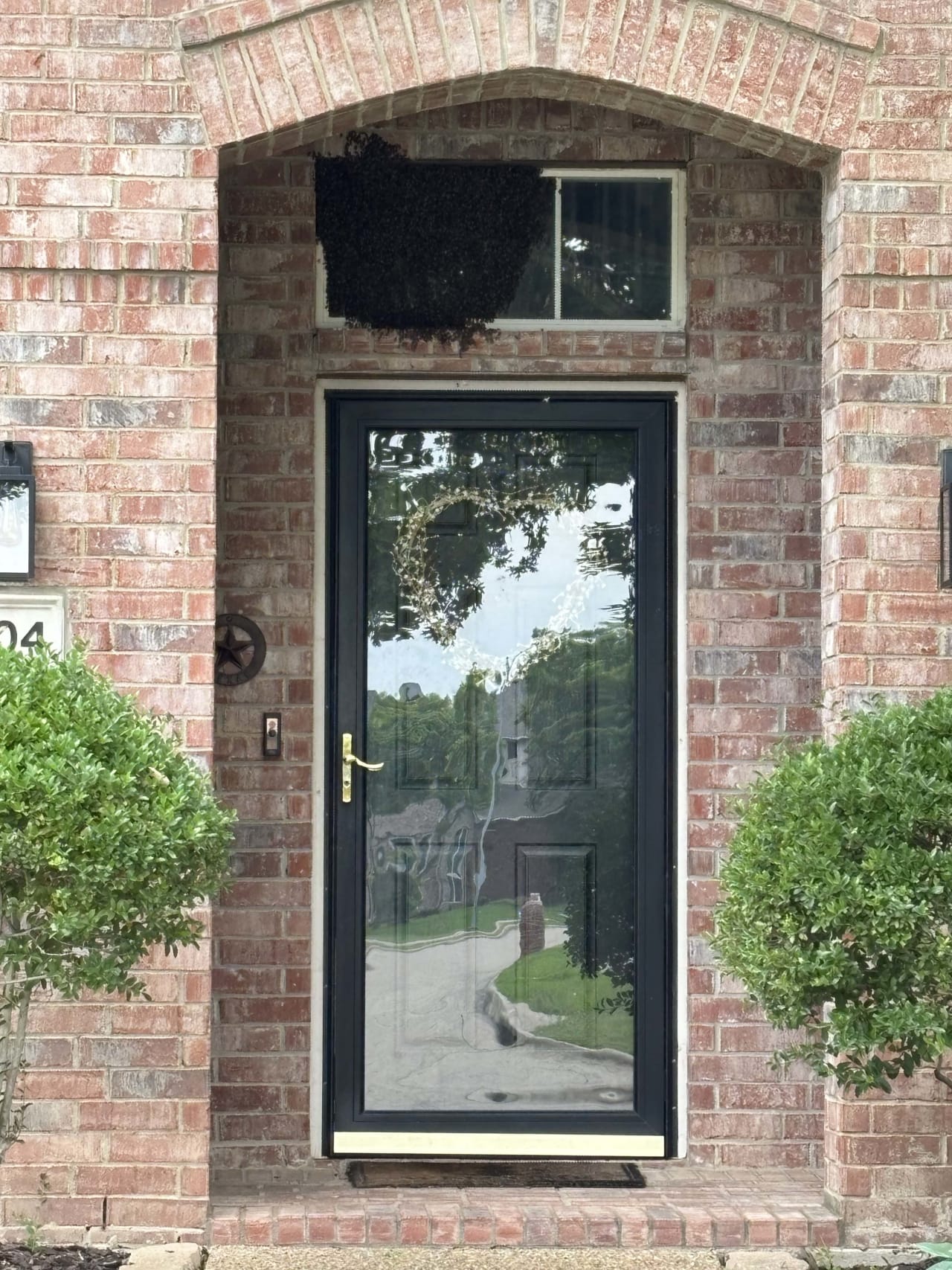 Bee Removal Near Me