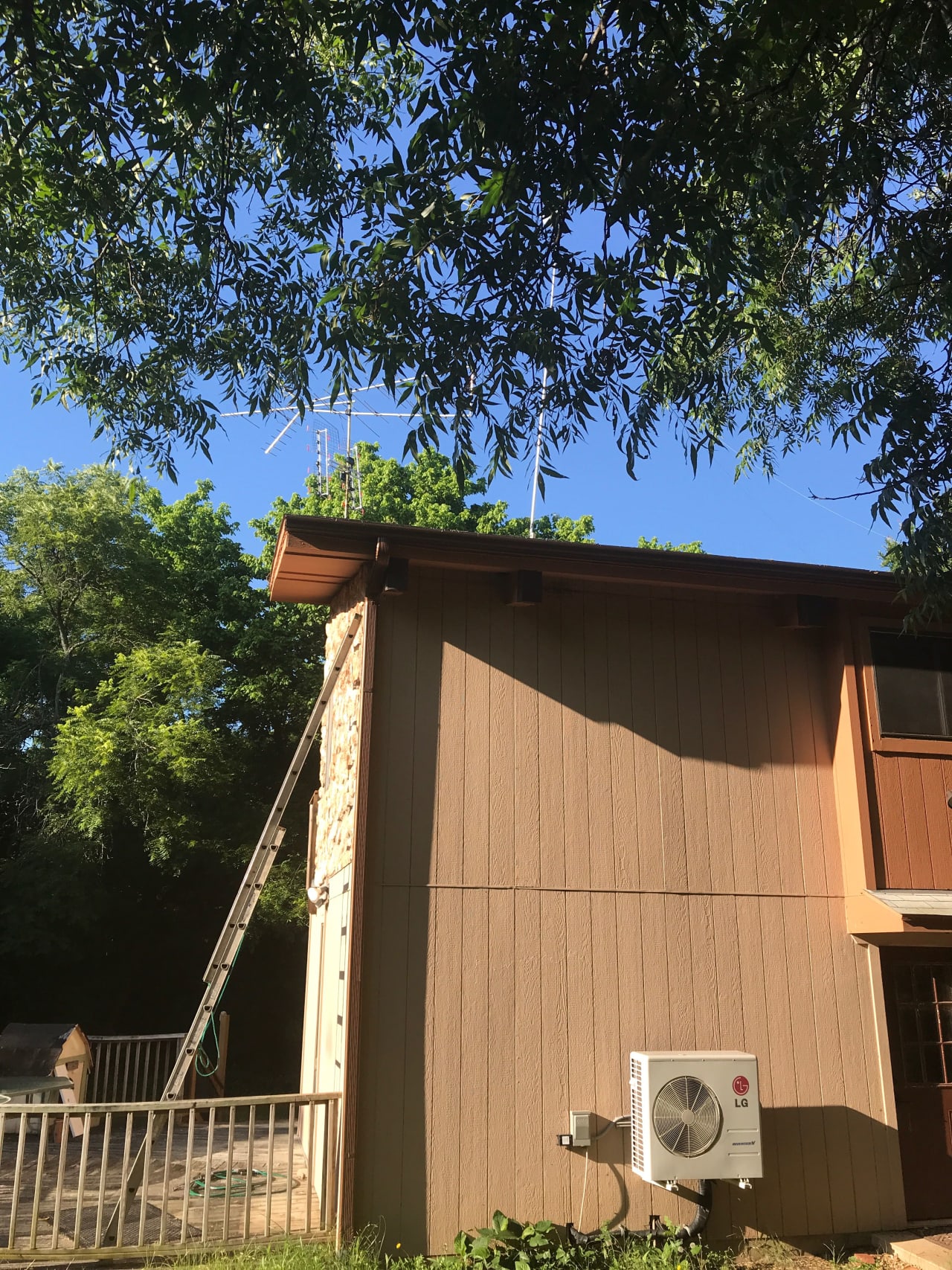 Bee Removal Near Me
