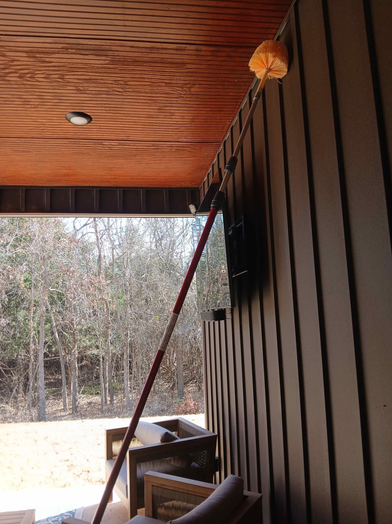 Bee Removal Near Me