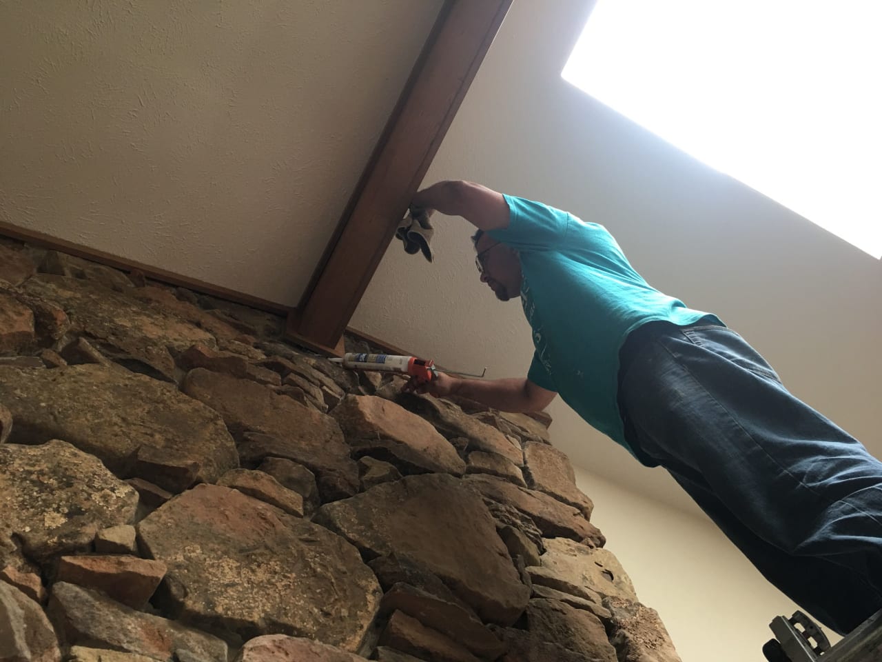 Bee Removal Near Me