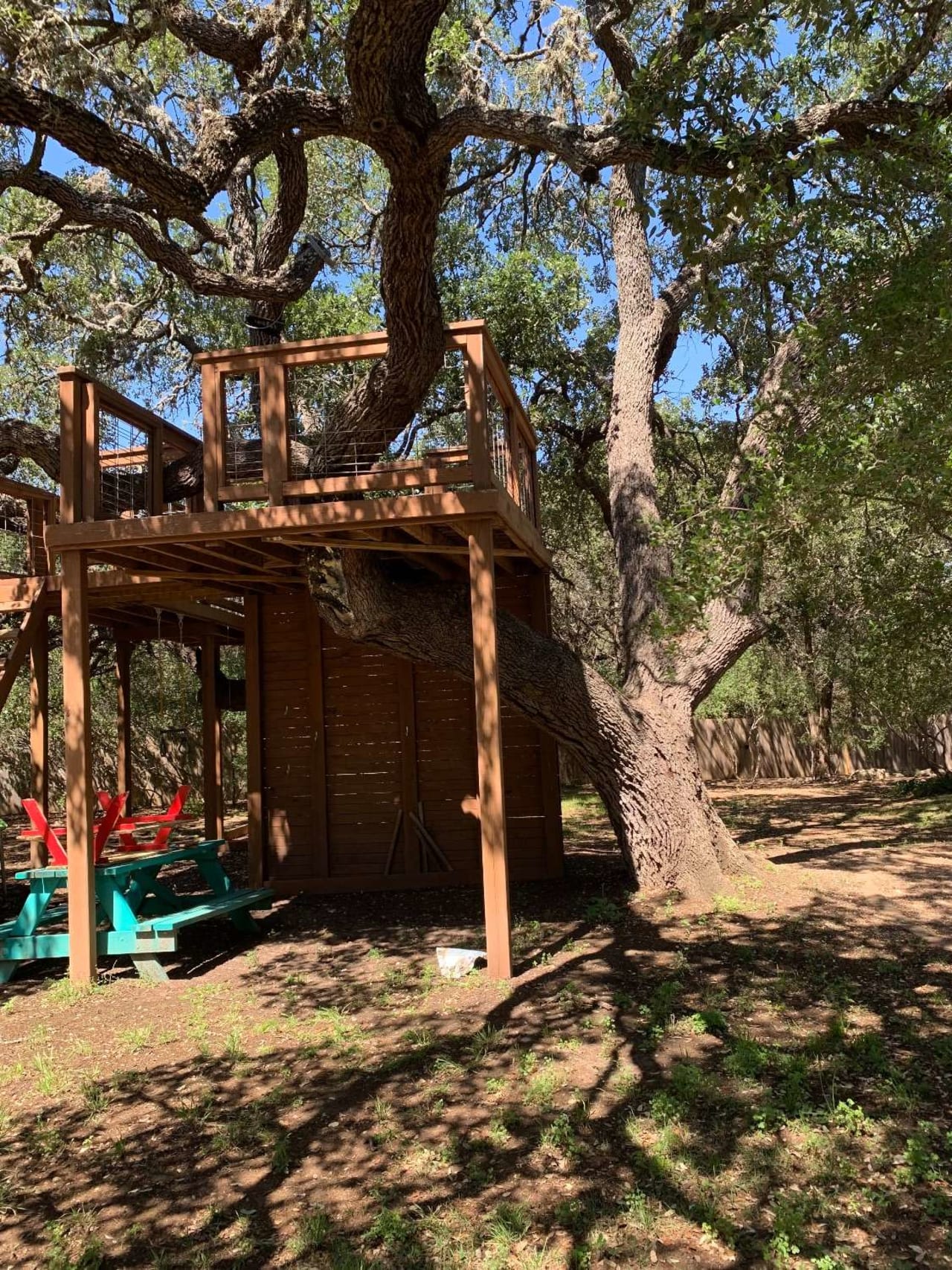 Bee Removal Near Me