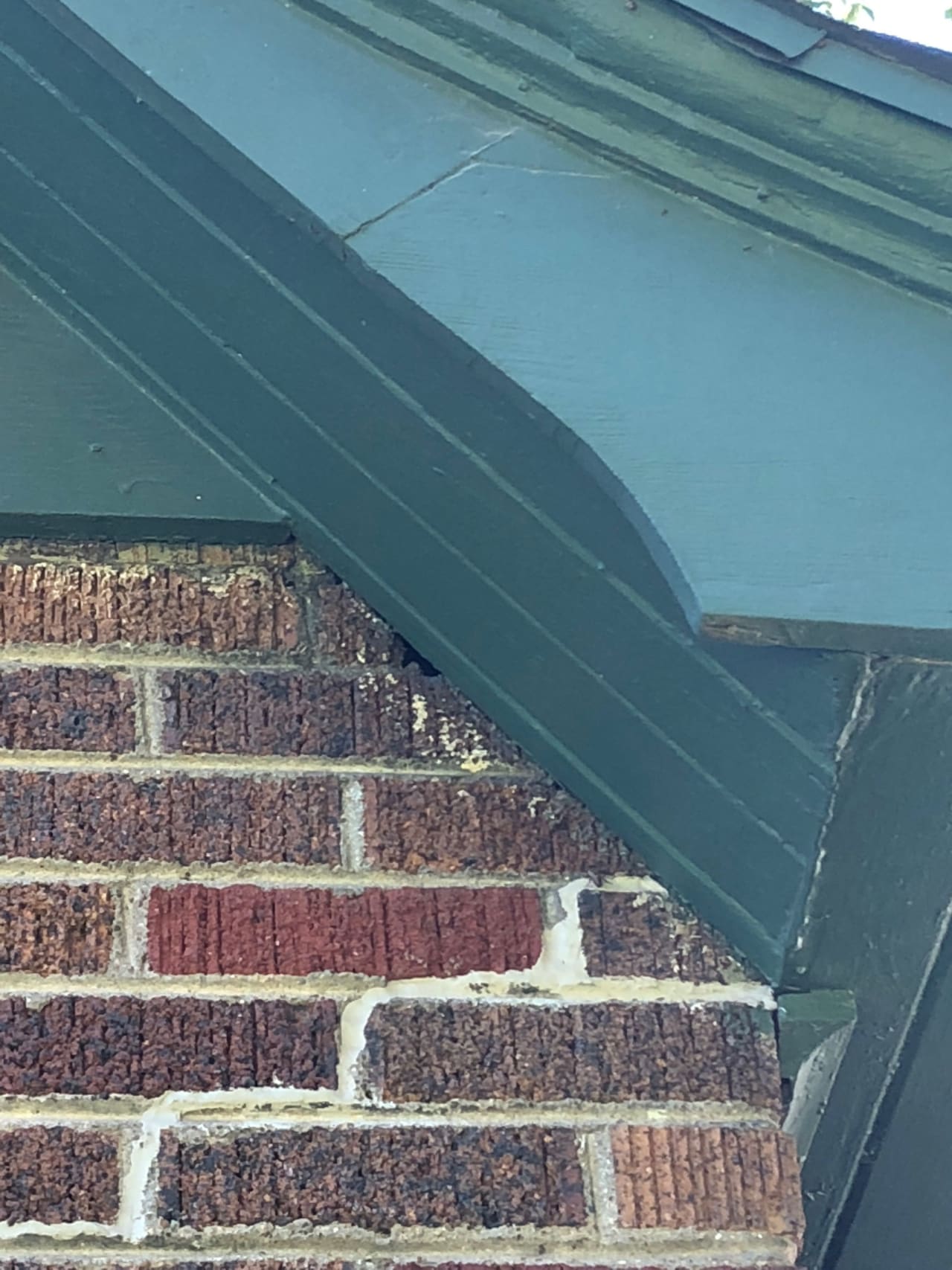 Bee Removal Near Me