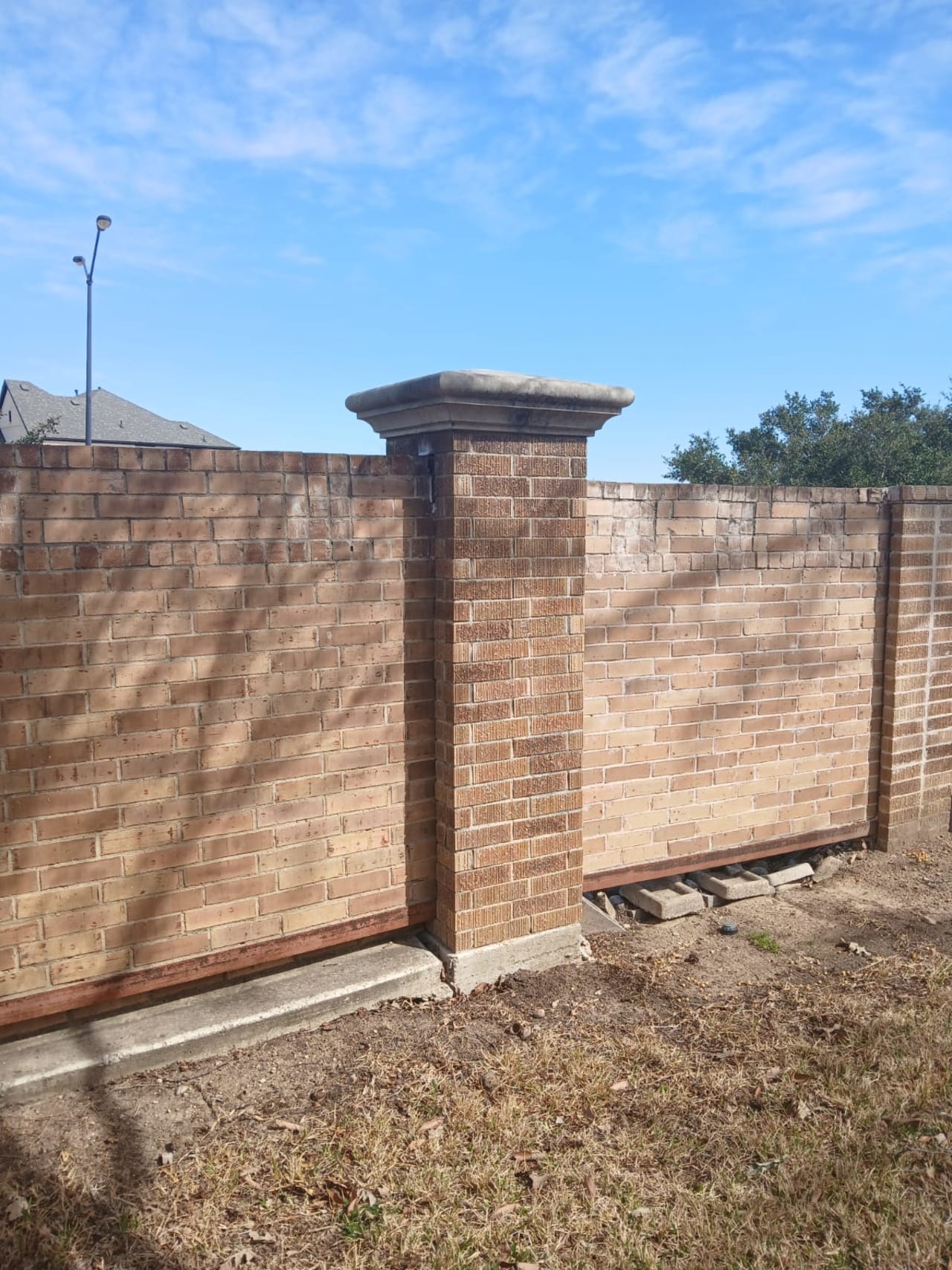 Bee Removal Near Me