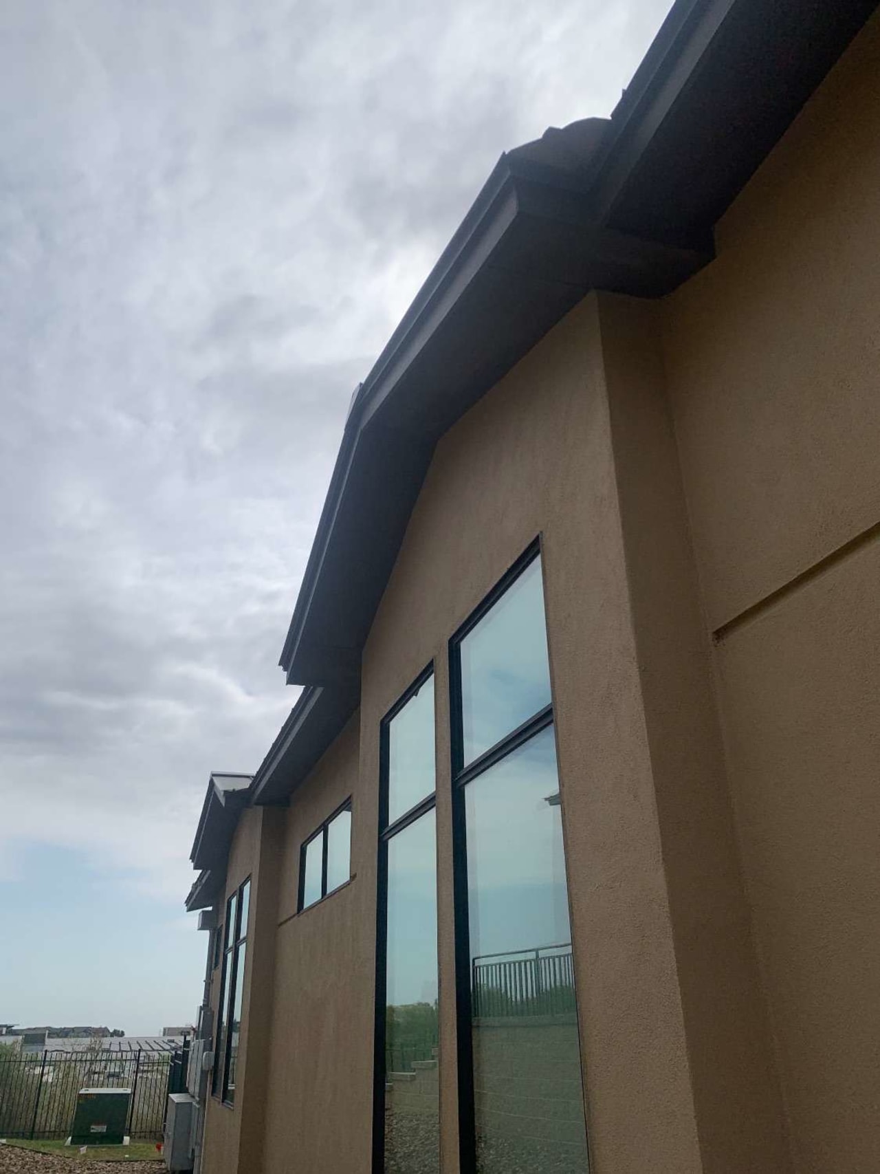 Bee Removal Near Me