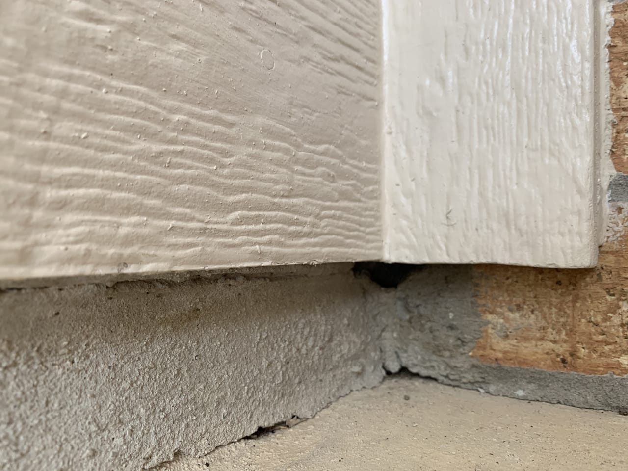 Bee Removal Near Me