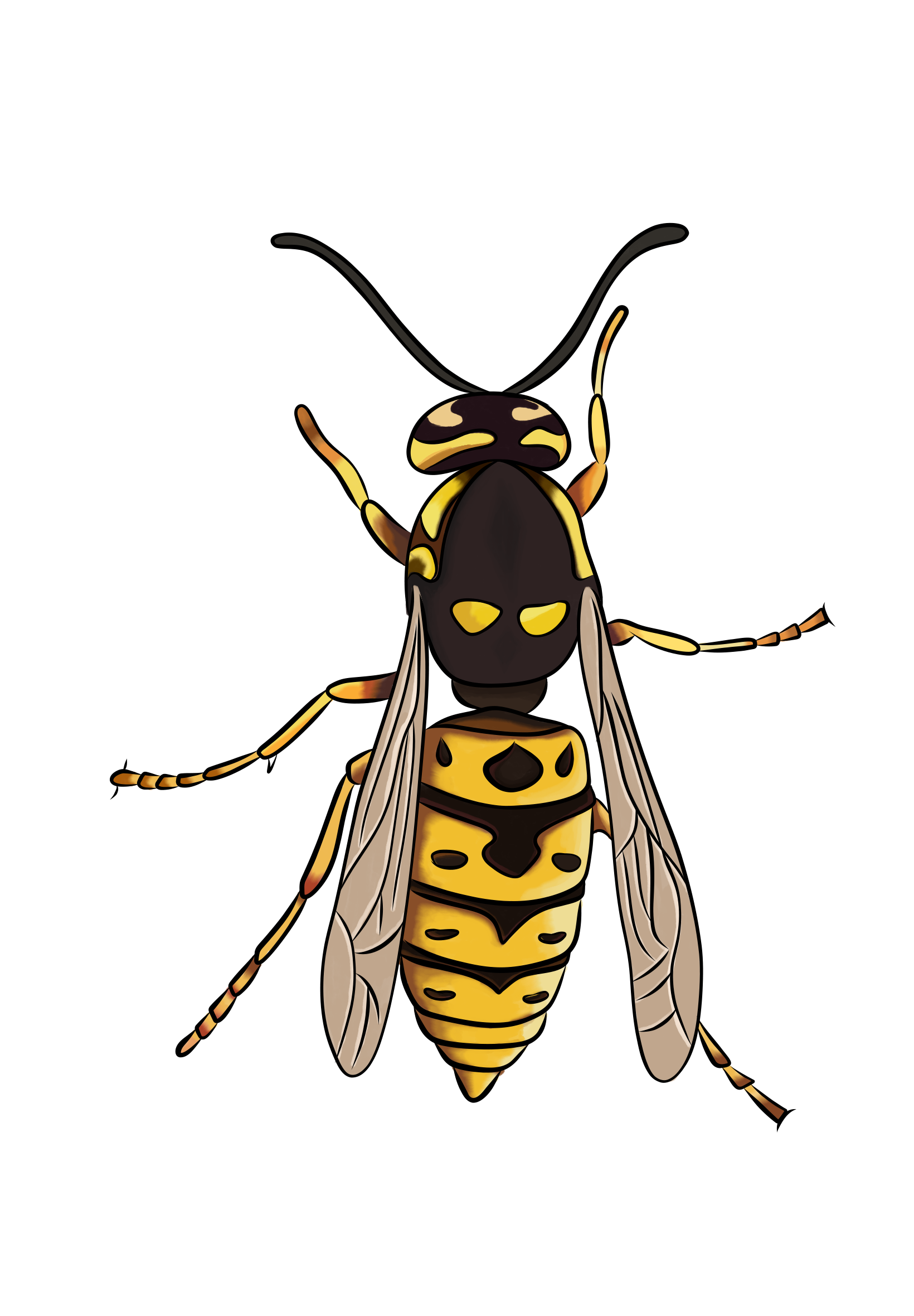 Yellow Jackets