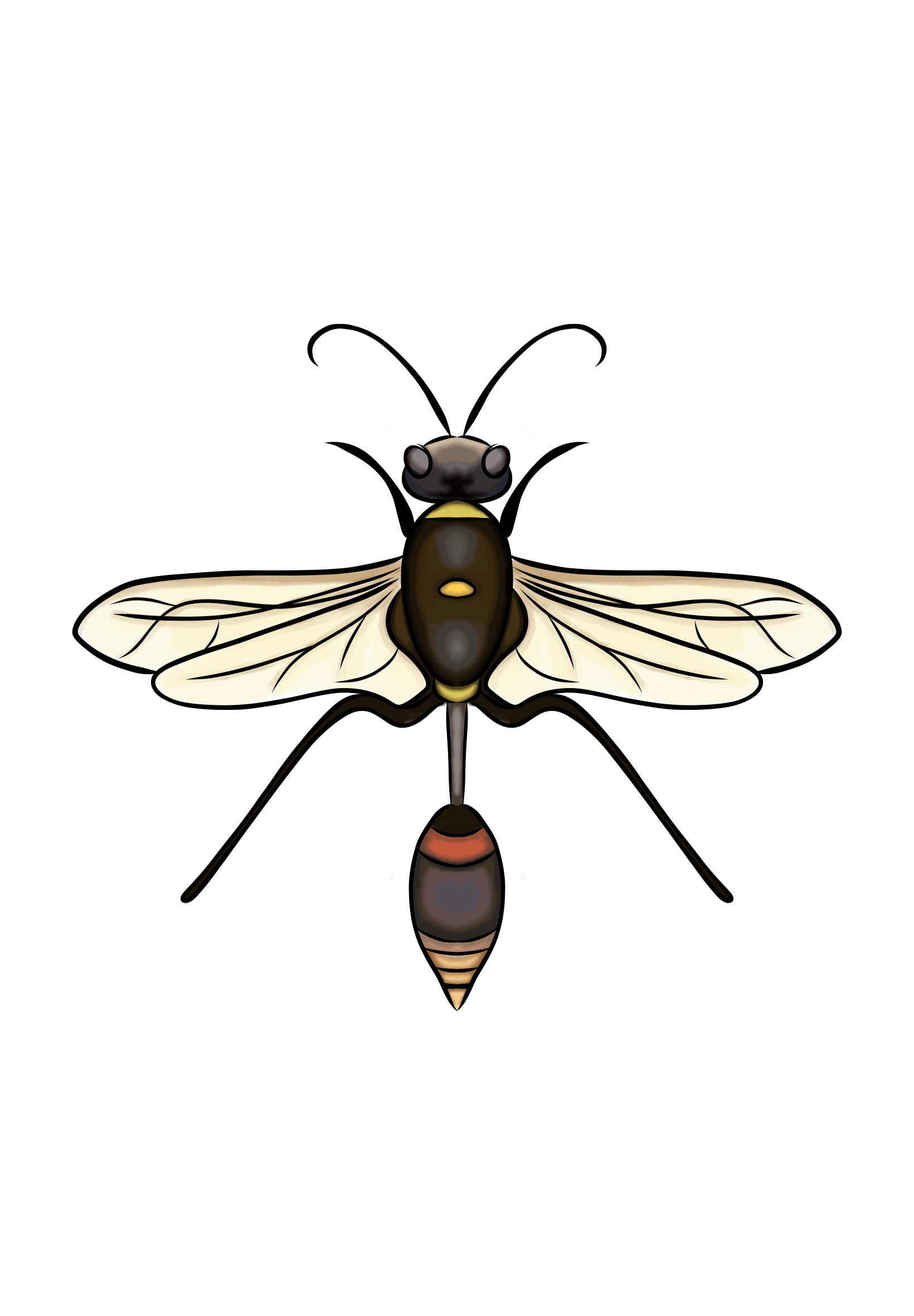 Mud Daubers
