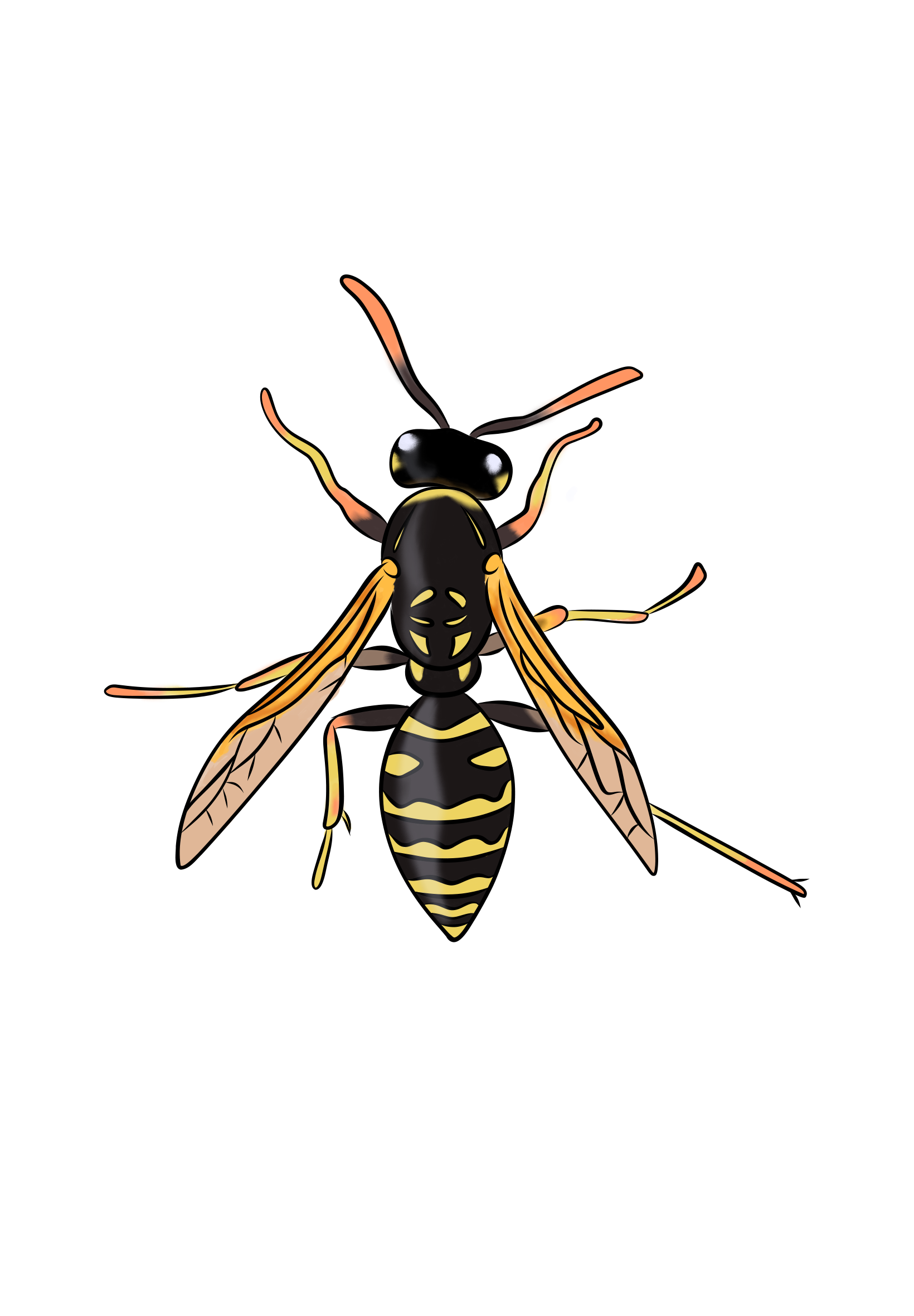 Paper Wasps