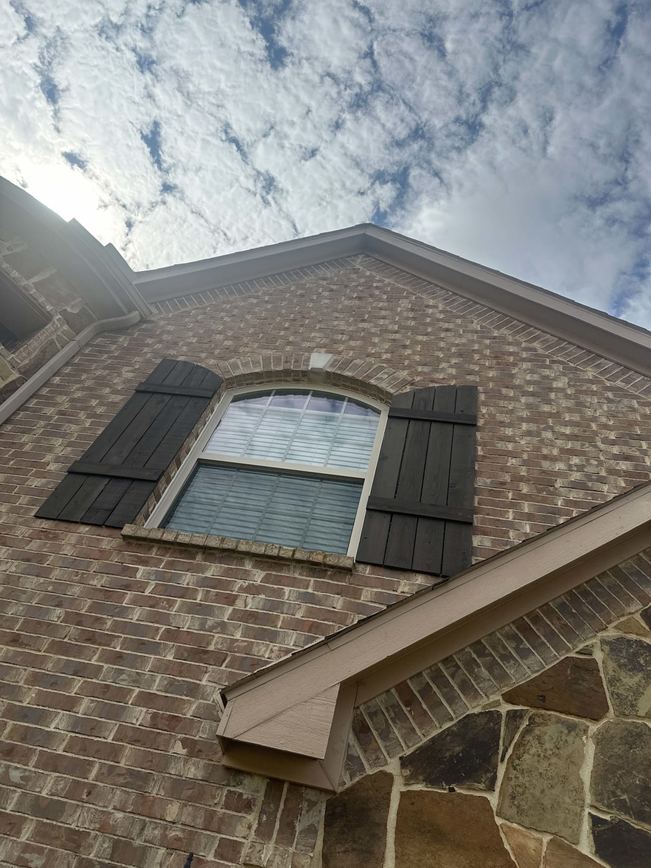 Bee Removal Near Me