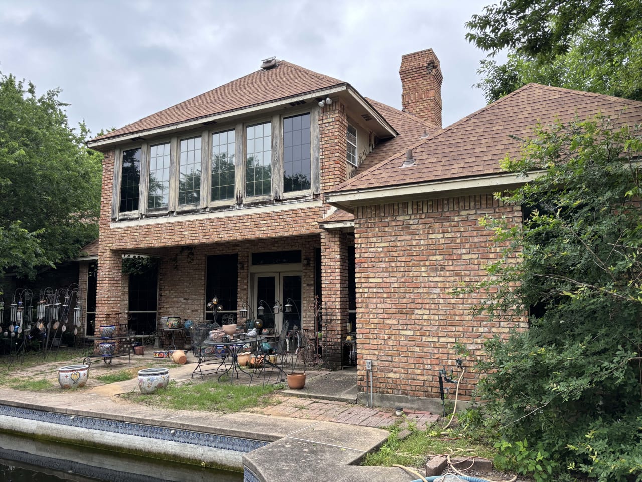 Bee Removal Near Me