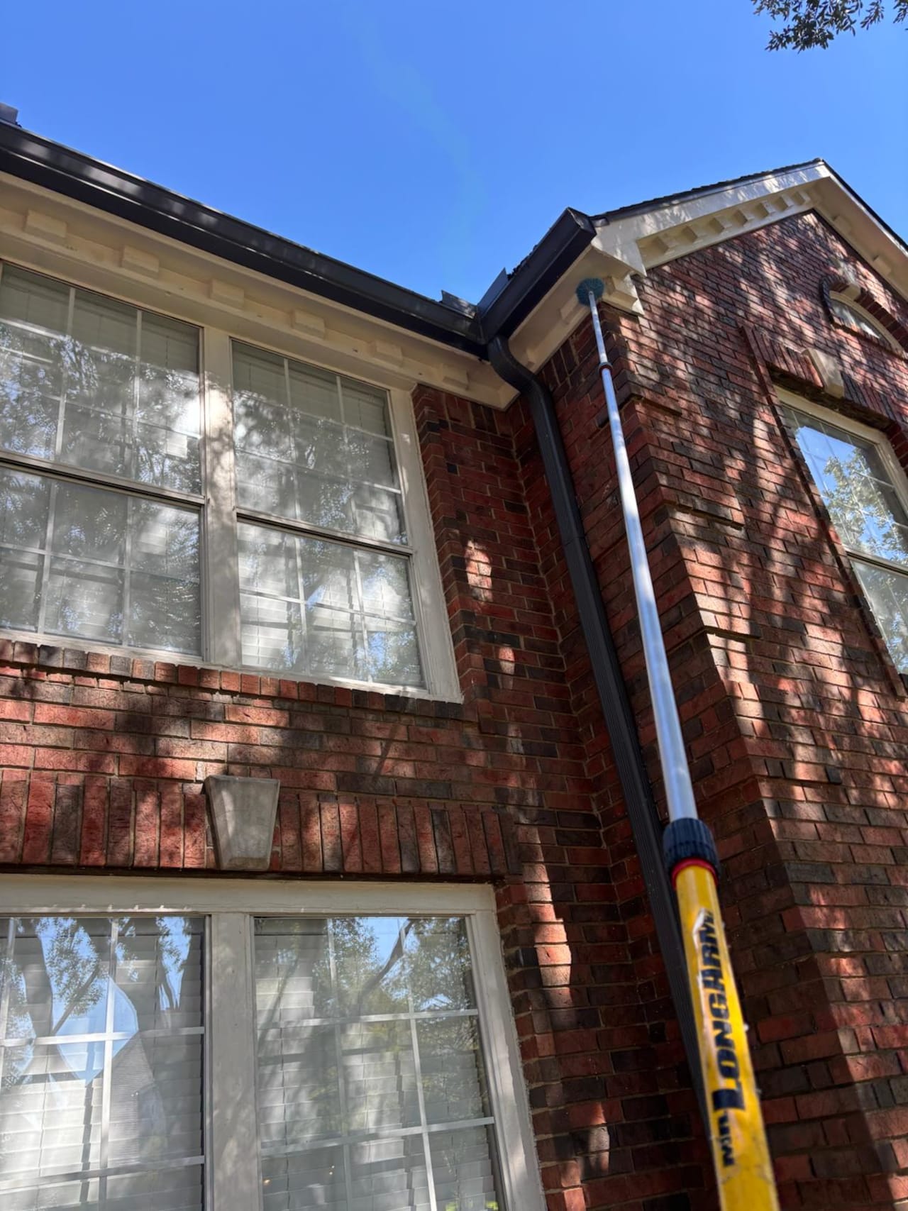 Bee Removal Near Me