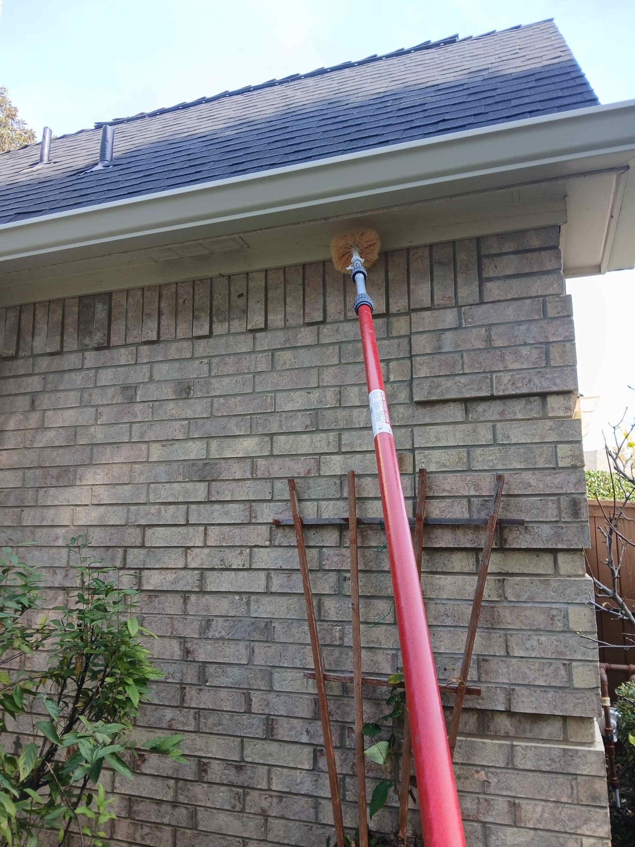 Bee Removal Near Me