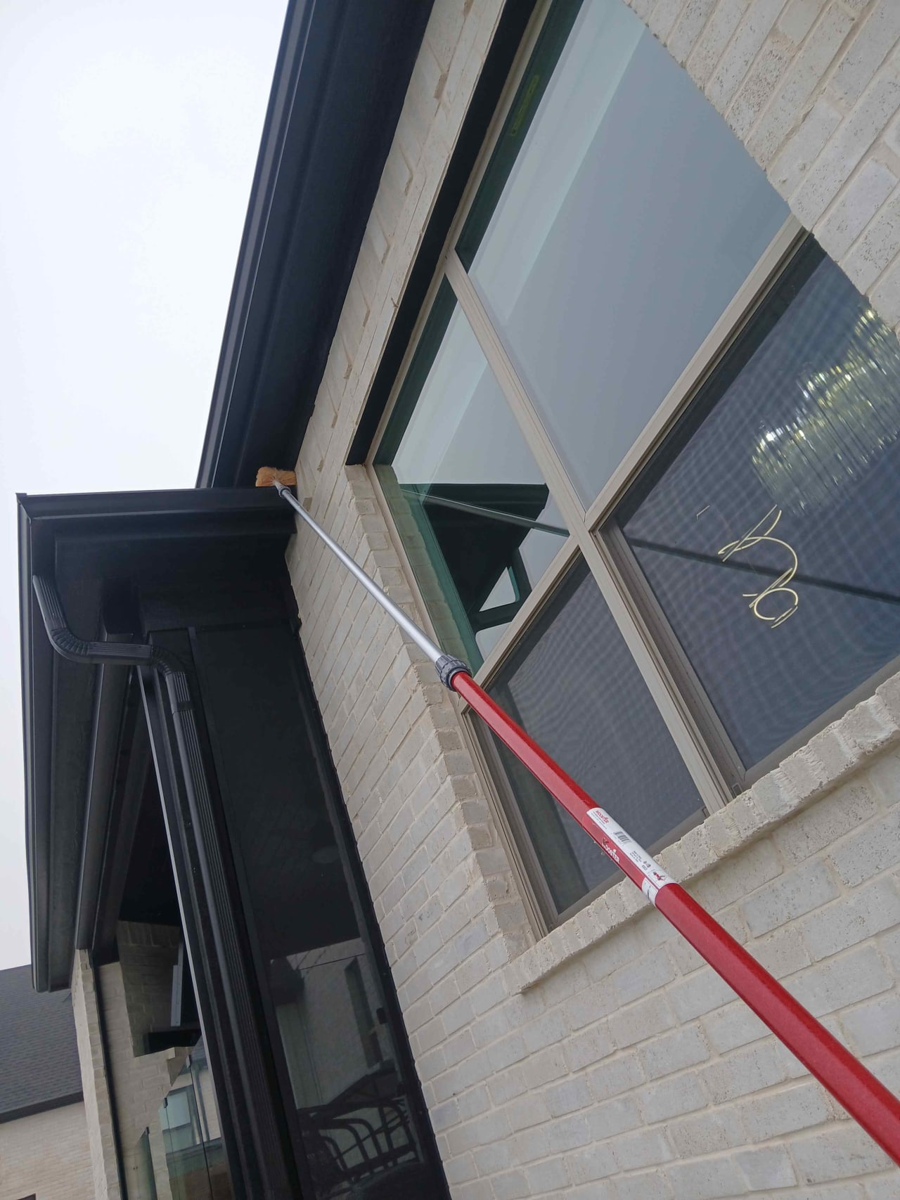 Bee Removal Near Me