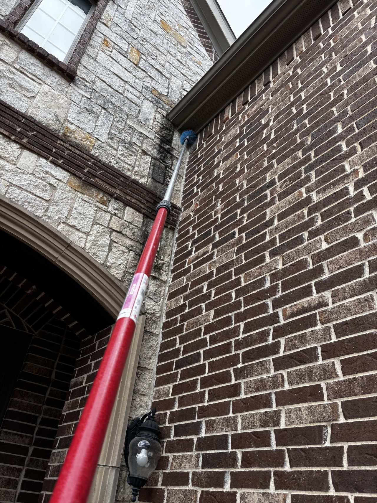 Bee Removal Near Me