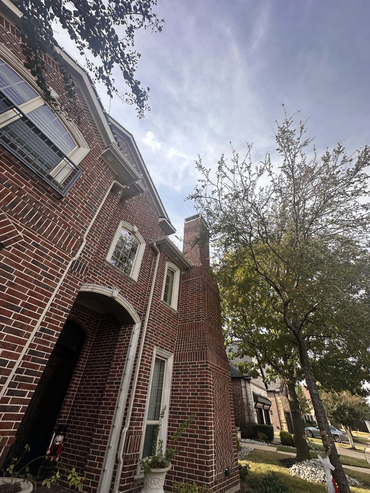 Bee Removal Near Me