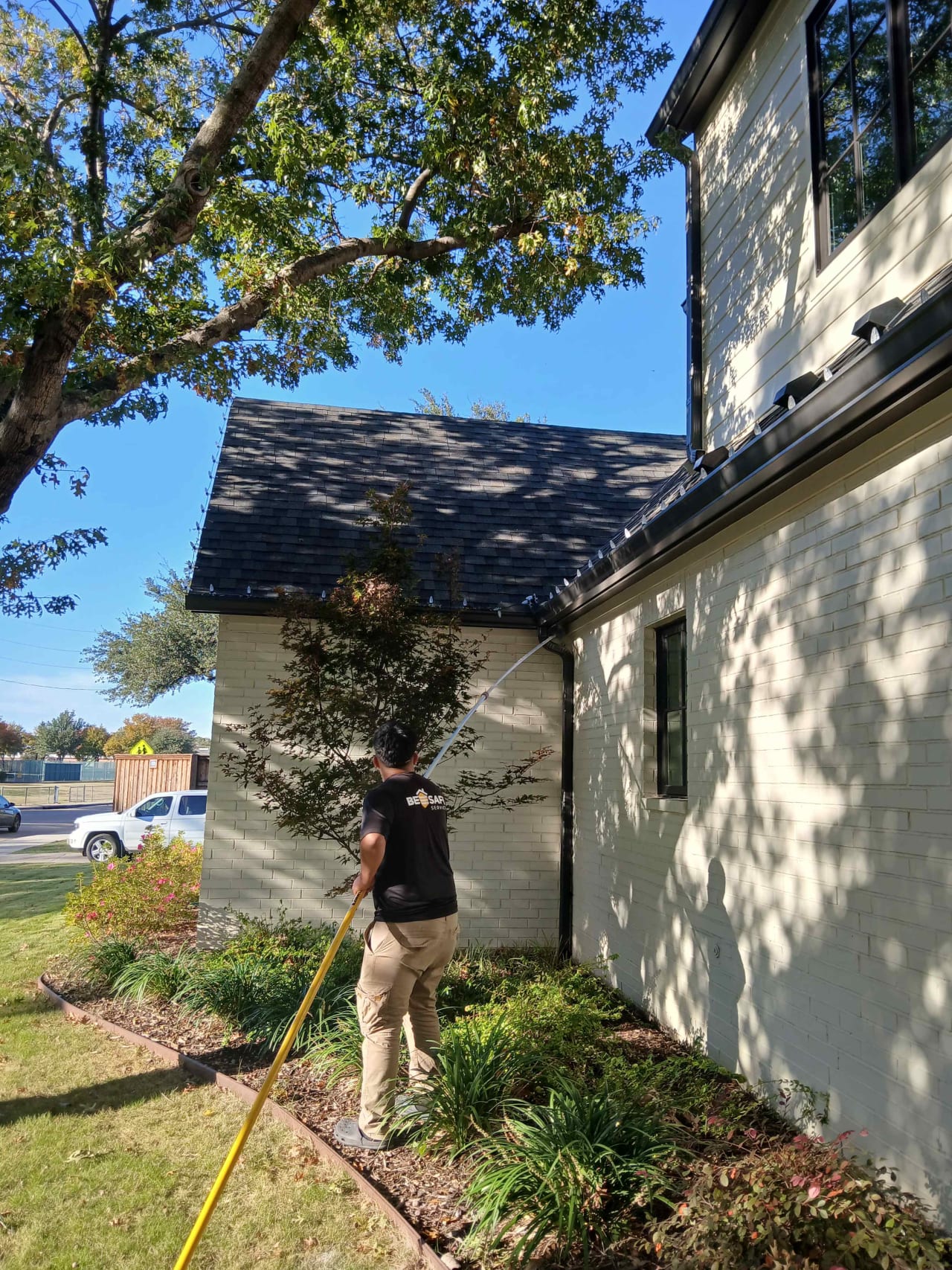 Bee Removal Near Me