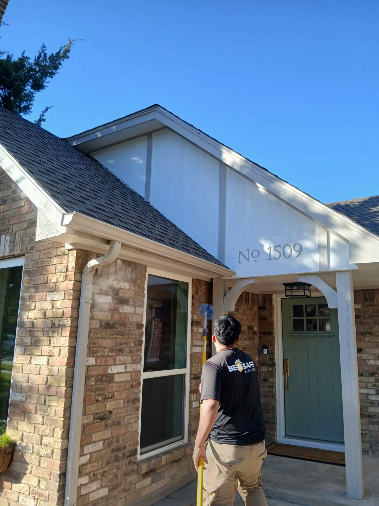 Bee Removal Near Me