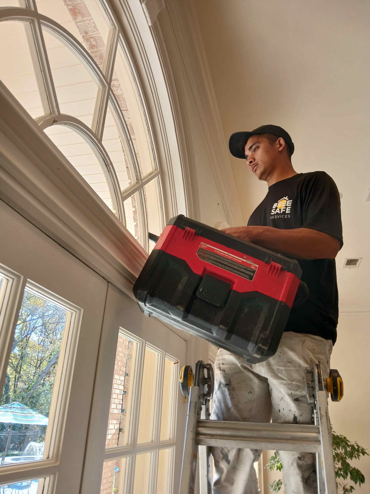 Bee Removal Near Me
