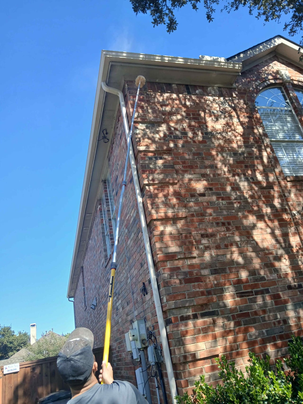 Bee Removal Near Me