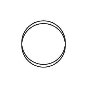 logo Overlay