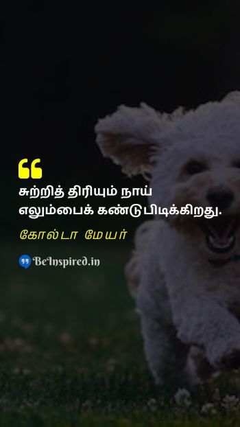 Golda Meir Tamil Picture Quote on dog motivational 