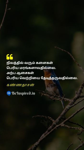 Kannadasan Tamil Picture Quote on weeds tree களைகள் மரங்கள் 