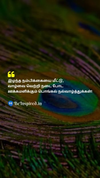 Pongal Wishes Quote related to 