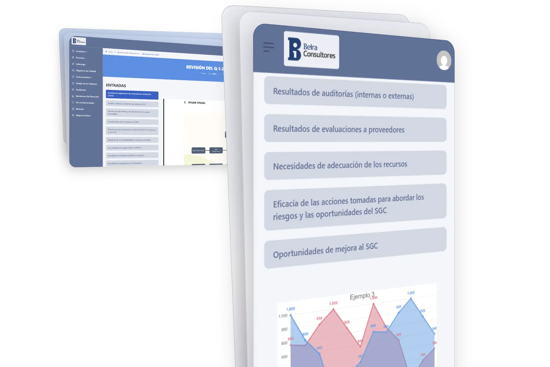 Management Review